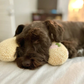 Calming Pillow - Soothe Anxious Pets