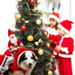 Dog Christmas Clothes Santa Claus Riding Deer