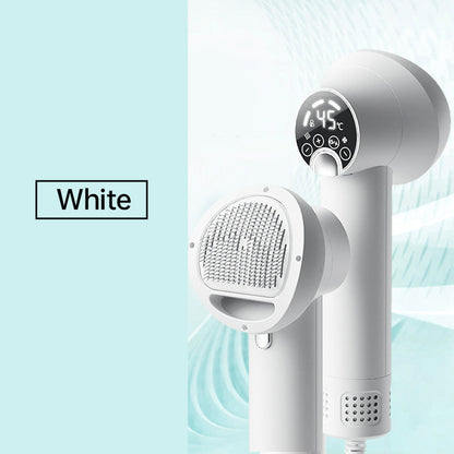 🎁Limited Time 40% OFF🔥Low Noise Pet Hair Dryer with Slicker Brush